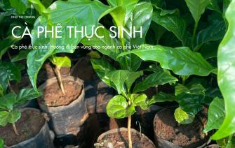 Cà phê thực sinh: Hướng đi bền vững cho ngành cà phê Việt Nam