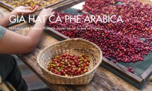 Giá hạt cà phê Arabica: Phân tích chuyên sâu và dự báo xu hướng