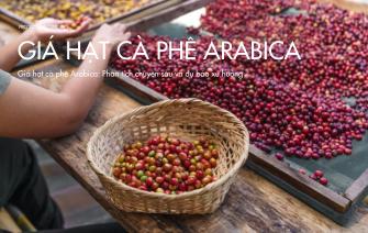 Giá hạt cà phê Arabica: Phân tích chuyên sâu và dự báo xu hướng