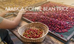 Arabica Coffee Bean Prices: In-depth analysis and forecast