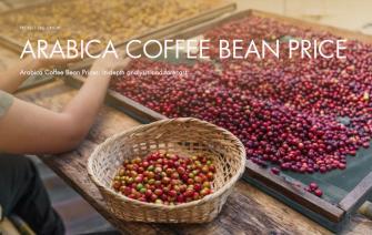 Arabica Coffee Bean Prices: In-depth analysis and forecast