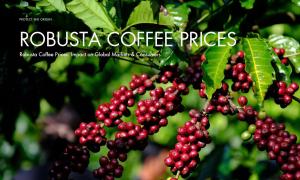 Robusta Coffee Prices: Impact on Global Markets & Consumers