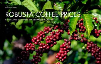 Robusta Coffee Prices: Impact on Global Markets & Consumers