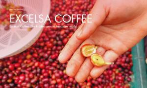 Excelsa Coffee: The hidden gem in the coffee world