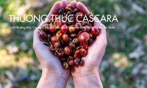 Cách thưởng thức Cascara: Nguồn gốc, cách pha chế đến những lợi ích sức khỏe