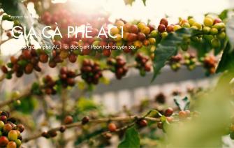Tại sao giá cà phê AC1 lại đặc biệt? Phân tích chuyên sâu