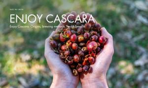 Enjoy Cascara: Origins, brewing methods, health benefits