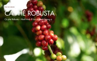 Cà phê Robusta – Hành trình đi tìm sứ mệnh hương vị