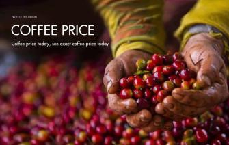 Coffee price today, daily coffee price