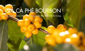 Giá Cà Phê Bourbon: Khám Phá Hương Vị Độc Đáo và Giá Trị Thị Trường