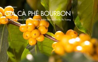 Giá Cà Phê Bourbon: Khám Phá Hương Vị Độc Đáo và Giá Trị Thị Trường