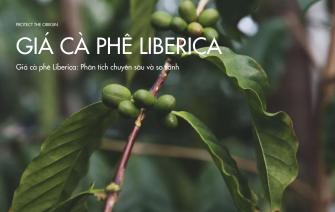 Giá cà phê Liberica: Phân tích chuyên sâu và so sánh