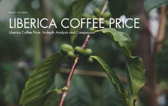 Liberica Coffee Price: In-depth Analysis and Comparison