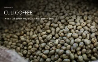 What is Culi Coffee? Why is Culi Coffee a precious gem?