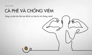Uống cà phê tối ưu hóa lợi ích chống viêm như thế nào?