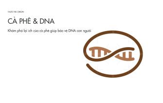 Khám phá lợi ích của cà phê giúp bảo vệ DNA con người