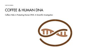 Coffee’s Role in Protecting Human DNA: A Scientific Investigation