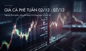Tin tức giá cà phê tuần 02/12 – 07/12: Ngừng chuỗi giảm, nâng đà tăng ở cả trong nước và quốc tế
