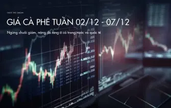 Tin tức giá cà phê tuần 02/12 – 07/12: Ngừng chuỗi giảm, nâng đà tăng ở cả trong nước và quốc tế