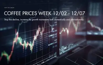 Coffee price week 12/02 – 12/07: Stopping the decline, increasing the increase both domestically and internationally