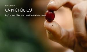 Cà phê hữu cơ là gì? Vì sao nó tốt cho sức khỏe và môi trường?