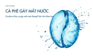 Cà phê có thực sự gây mất nước không? Góc nhìn khoa học