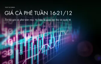 Tin tức giá cà phê tuần 16/12 – 21/12: tín hiệu lạ giữa nội địa và quốc tế