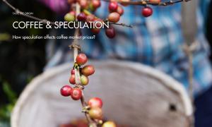 How speculation affects coffee market prices?