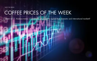 Coffee Price Summary for Week 4/12: Arabica Stands Strong, What Signals from Domestic and International Markets?