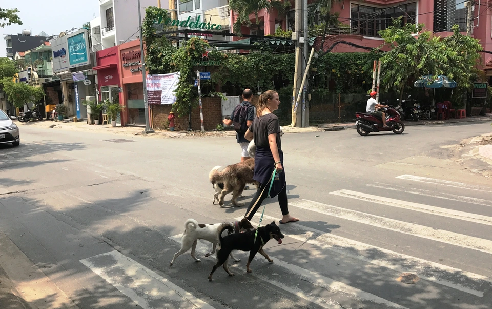 Cẩm nang tìm cà phê thú cưng ở TP.HCM thoải mái cả "boss lẫn sen"