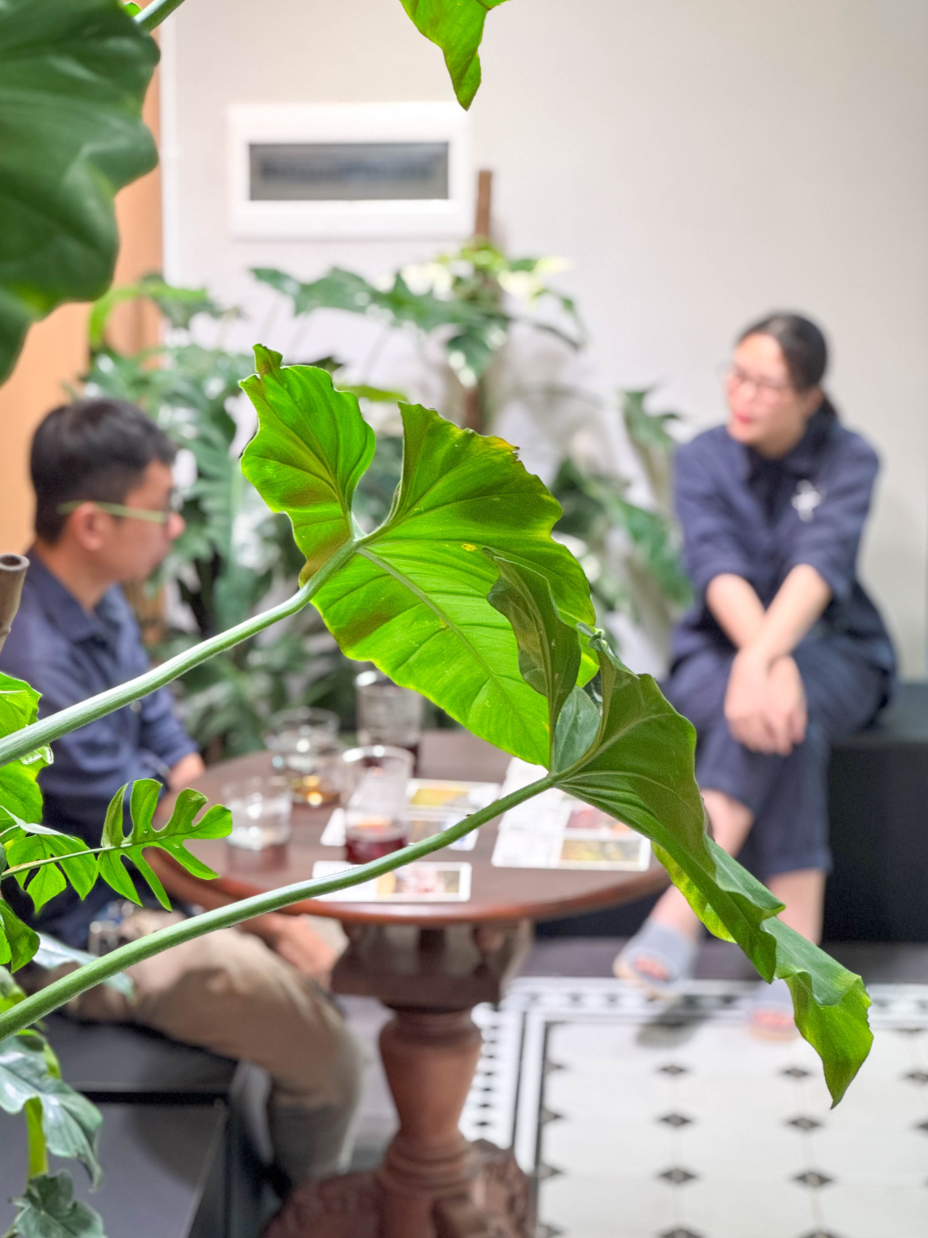 Bí quyết check in XLIII Coffee - quán cà phê đẹp tại Thảo Điền