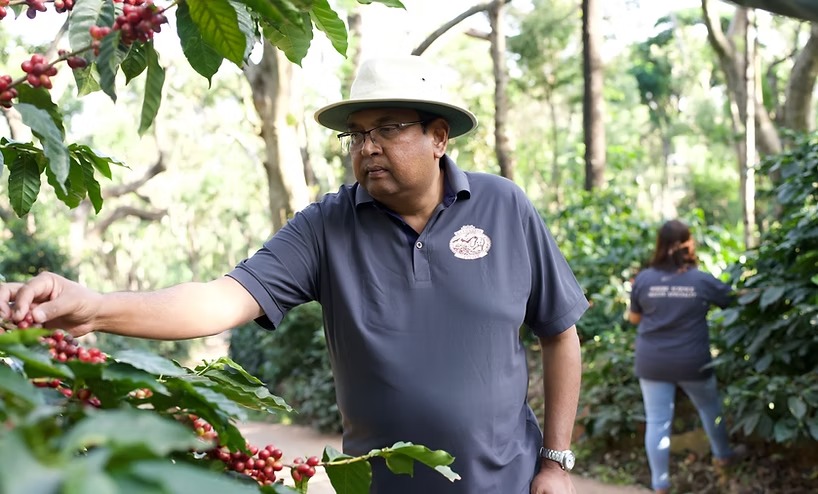 Ratnagiri Estate - 43 Factory Coffee Roaster