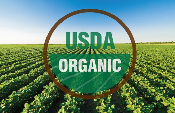 Sustainability Certifications