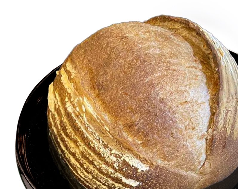 202509300734 whole wheat e1759217680318
