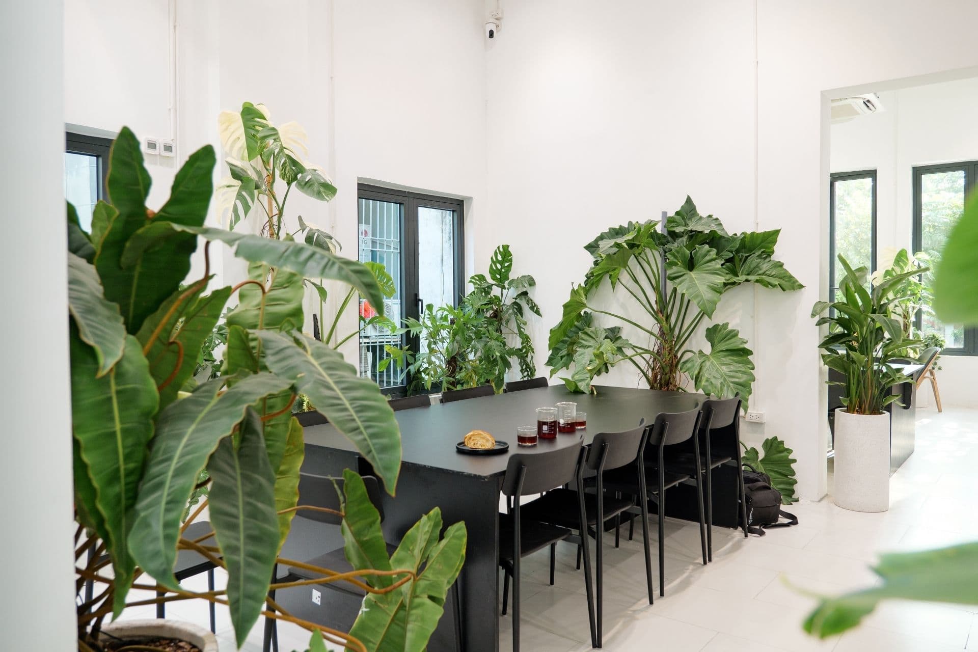XLIII COFFEE HOÀN KIẾM