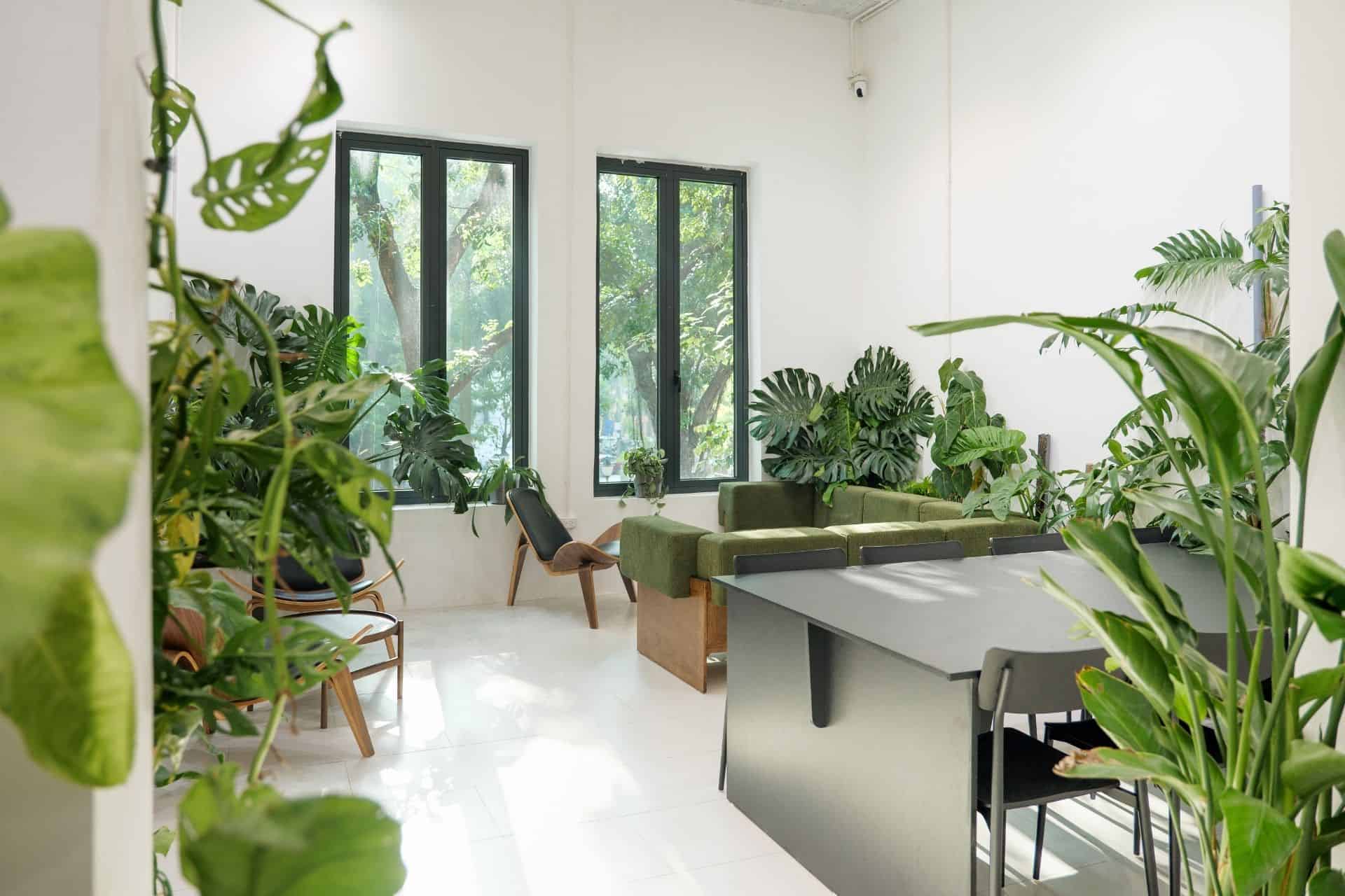 XLIII COFFEE HOÀN KIẾM