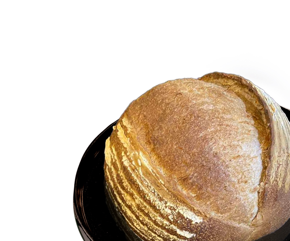 whole wheat