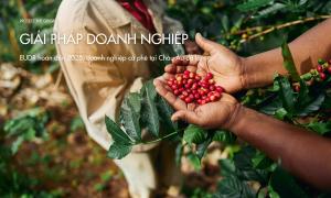 EUDR hoãn đến 2025, doanh nghiệp cà phê tại Châu Âu đã làm gì?