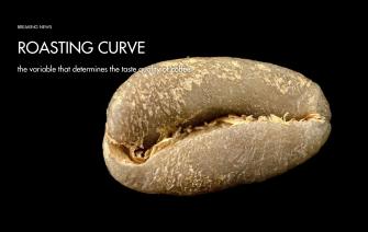 Roasting curve – the variable that determines the taste quality of coffee
