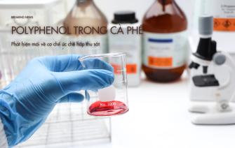 Phát hiện cơ chế Polyphenol trong cà phê chặn hấp thu sắt