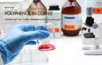 Breakthrough: How Coffee’s Polyphenols Block Iron Absorption