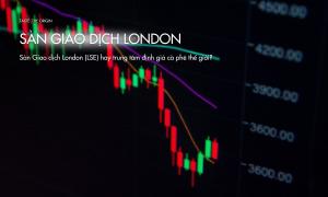 Sàn Giao dịch London (LSE) hay trung tâm định giá cà phê thế giới?