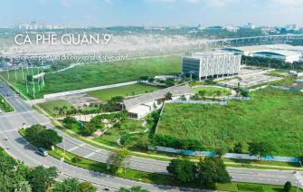 Điểm hẹn cà phê quận 9 TP. HCM – Chọn cà phê sữa đá hay cà phê specialty?