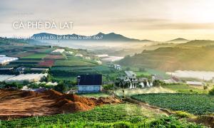 Thưởng thức cà phê Đà Lạt thế nào là sành điệu?