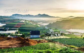 Thưởng thức cà phê Đà Lạt thế nào là sành điệu?