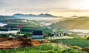 The Art of Enjoying Da Lat Coffee: An Insider’s Guide
