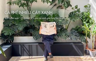 XLIII Coffee quận 1 và quận 2 – Cà phê cây xanh giữa lòng Sài Gòn tấp nập