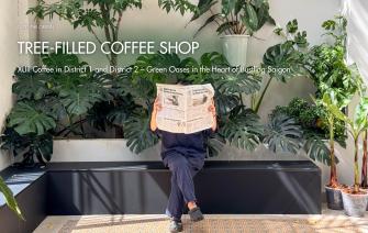 XLIII Coffee in District 1 and District 2 – Green Oases in the Heart of Bustling Saigon