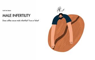 Does Coffee Cause Male Infertility? True or False?