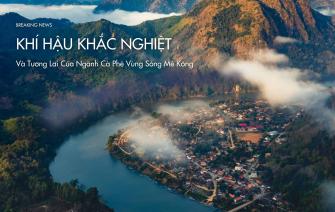 Khí Hậu Khắc Nghiệt và Tương Lai Ngành Cà Phê Vùng Sông Mê Kông